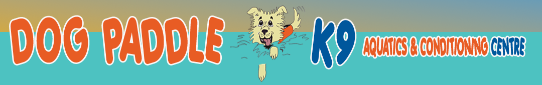Dog Paddle K9 Aquatics-Canine Therapy Pool Bowmanville