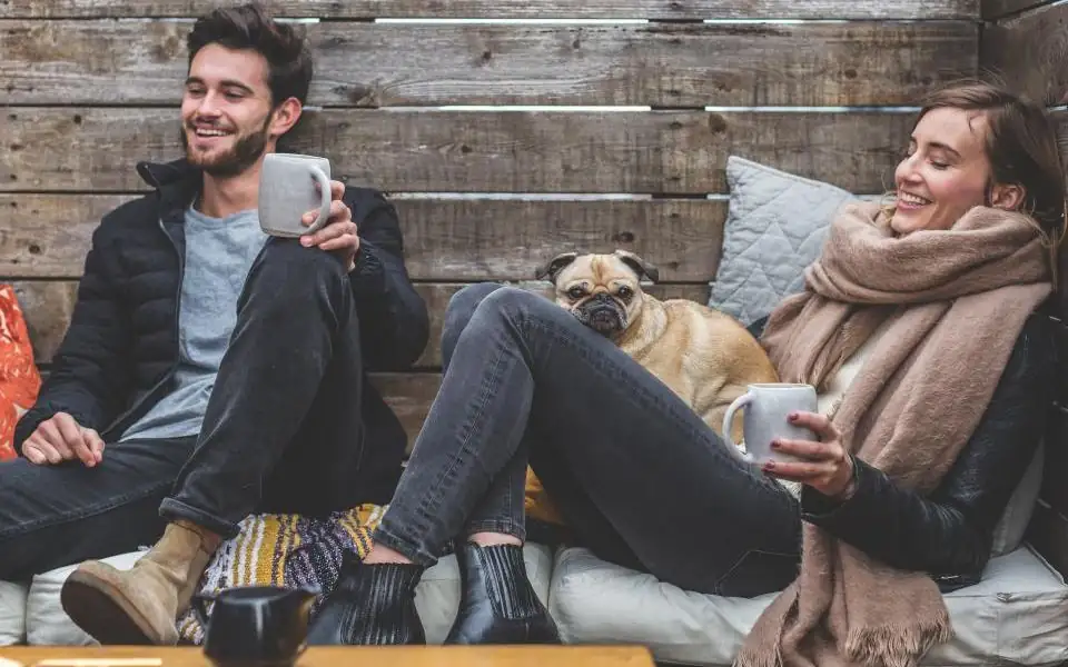 Owner gently stroking the back and shoulders of a relaxed dog lying on its side on a blanket indoors